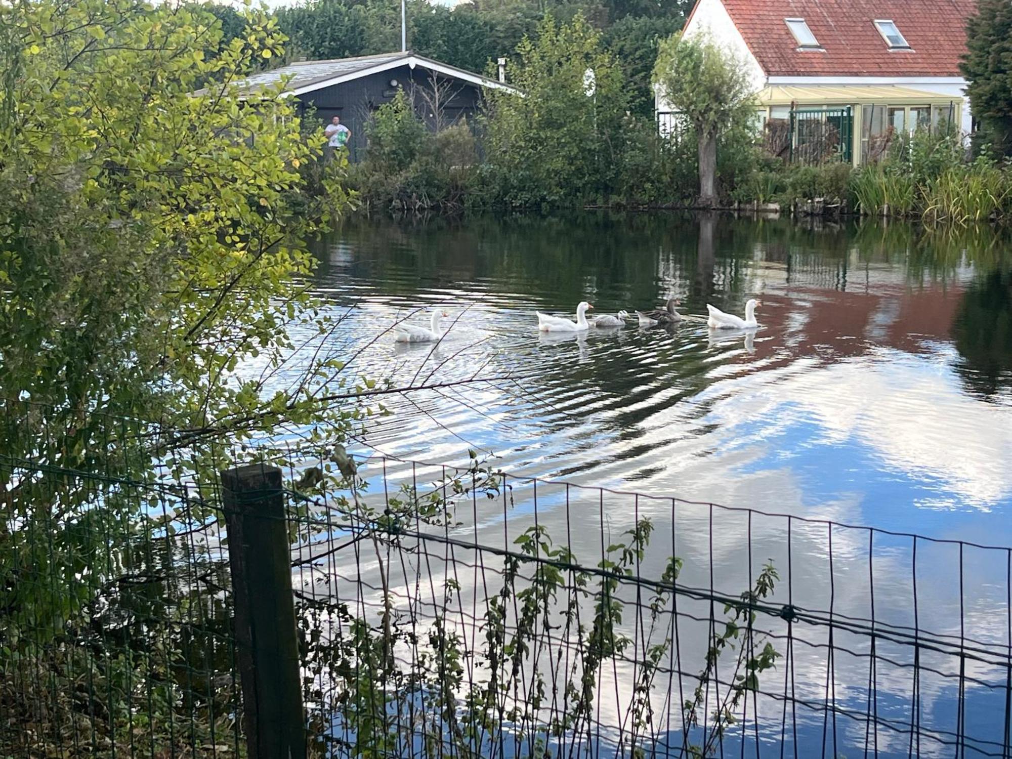 Chaletje Tis-Ier-Goed Jabbeke  Zewnętrze zdjęcie